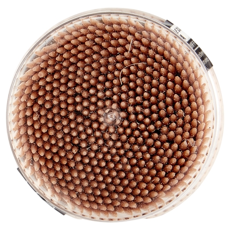 500 Stuzzicadenti U! Confronta e Risparmia